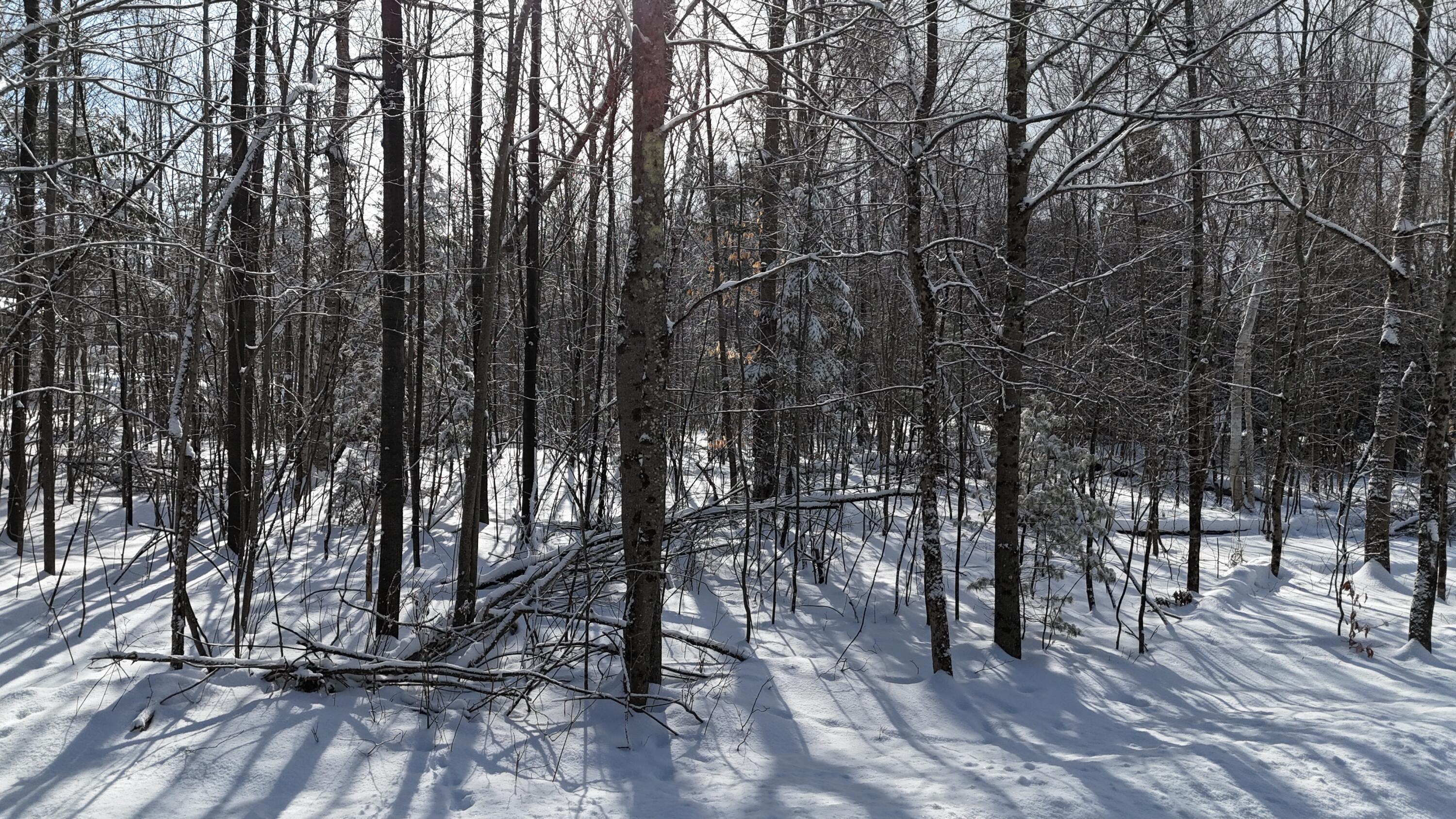 Lot 3-12 Shady Lane Property Photo 6