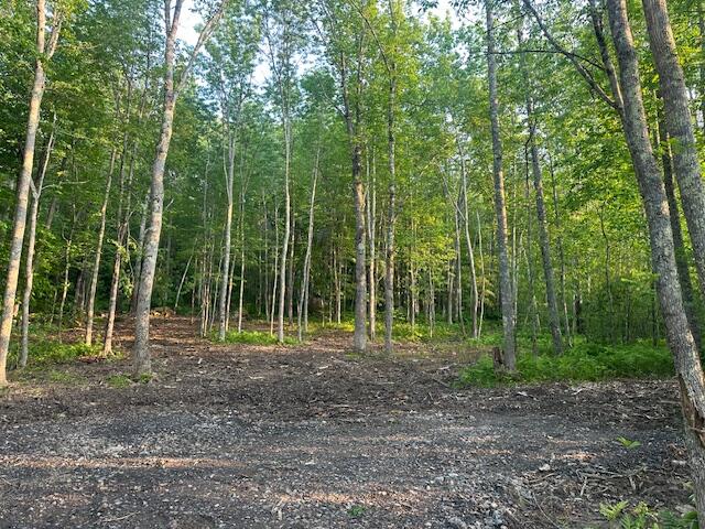 206 12a Hope Road Property Photo 3