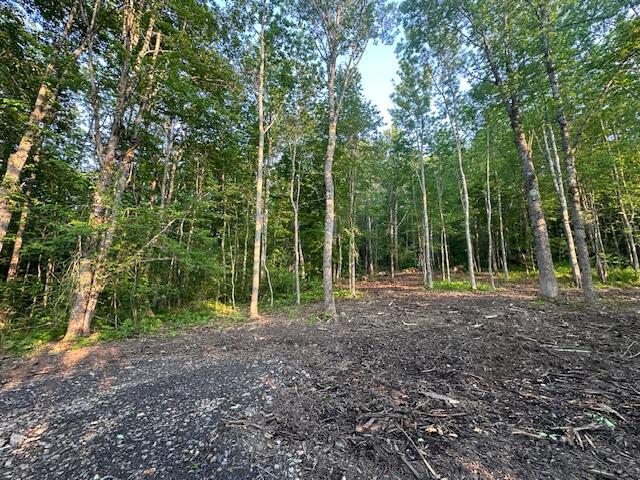 206 12a Hope Road Property Photo 4