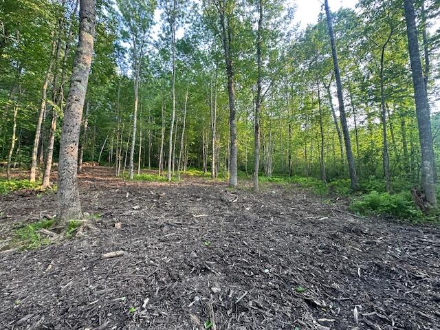 206 12a Hope Road Property Photo 7