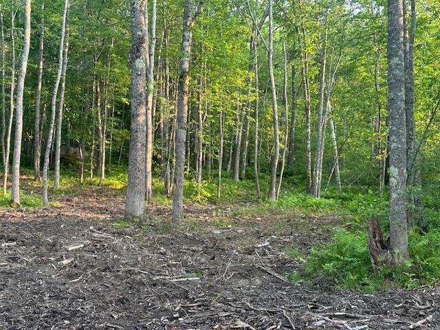 206 12a Hope Road Property Photo 10
