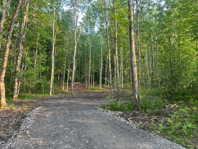 206 12a Hope Road Property Photo 11