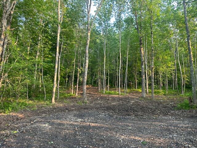 206 12a Hope Road Property Photo 13