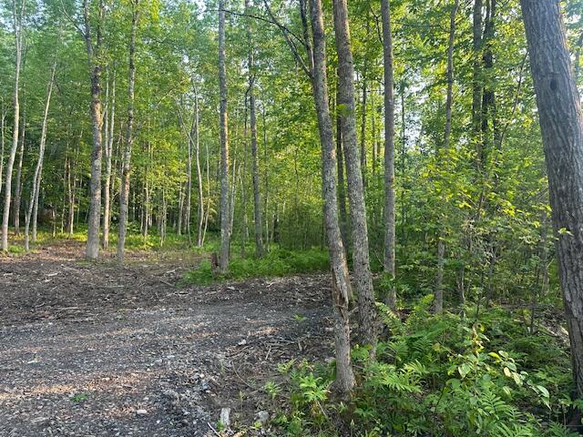 206 12a Hope Road Property Photo 14
