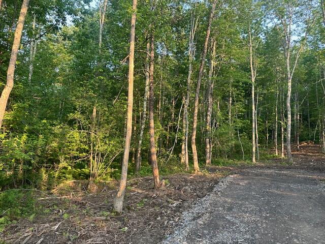 206 12a Hope Road Property Photo 15