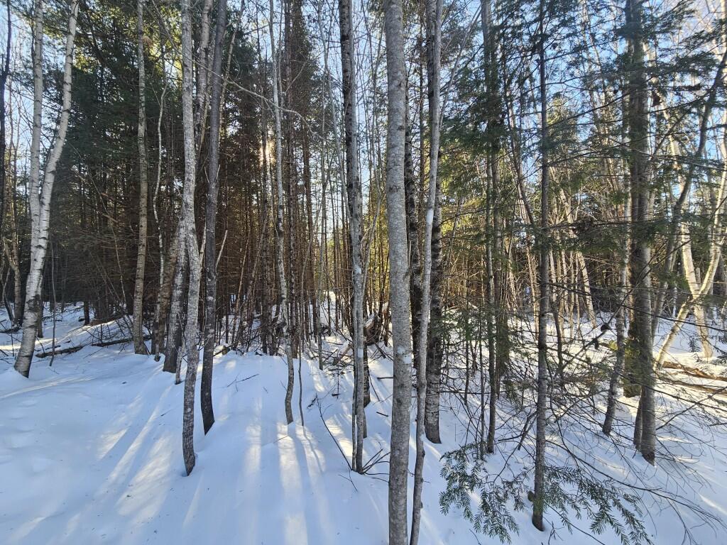 11-3 Emery Farm Road Property Photo 10