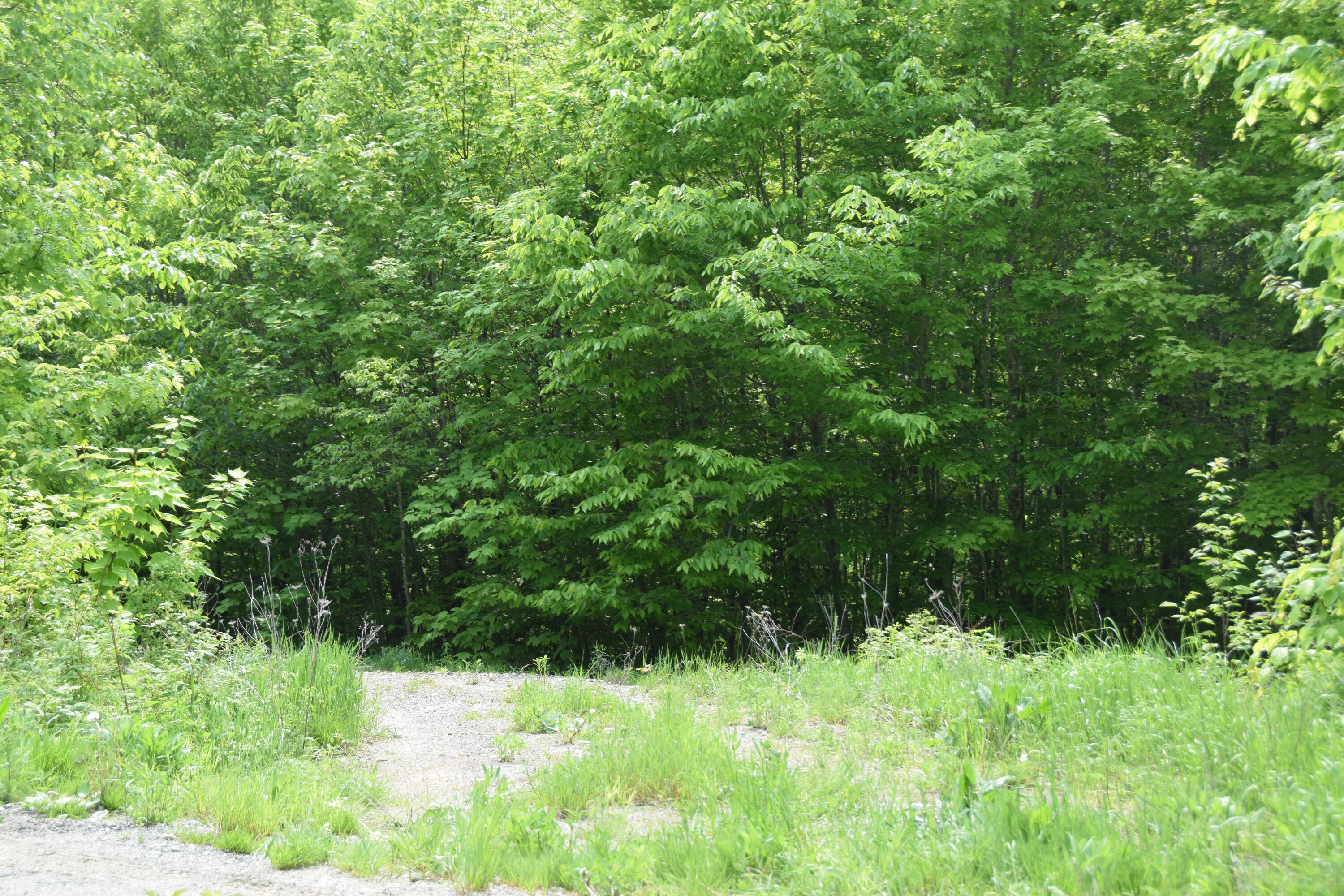 M12l1-14 Ira Mountain Road Property Photo 1