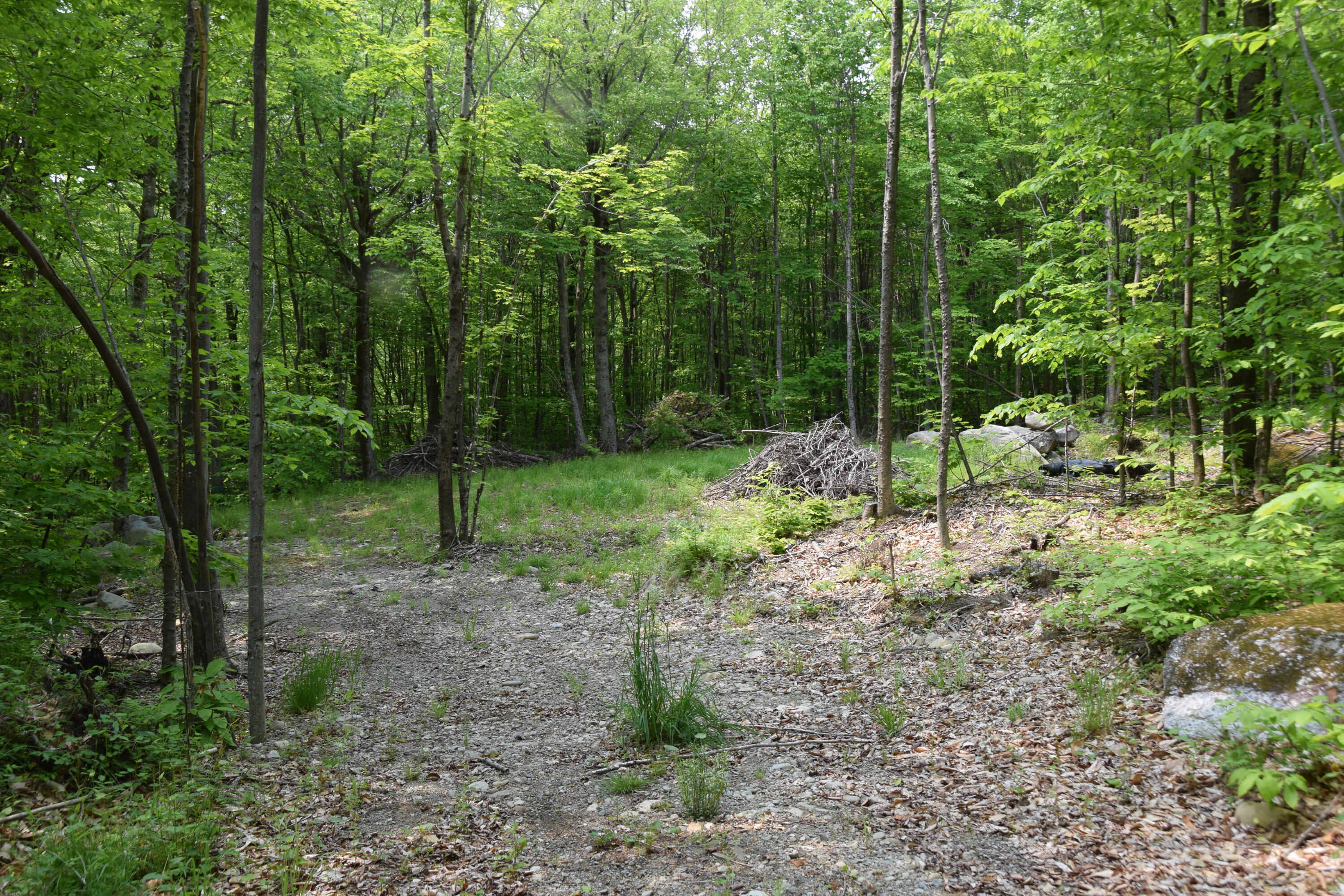 M12l1-14 Ira Mountain Road Property Photo 5