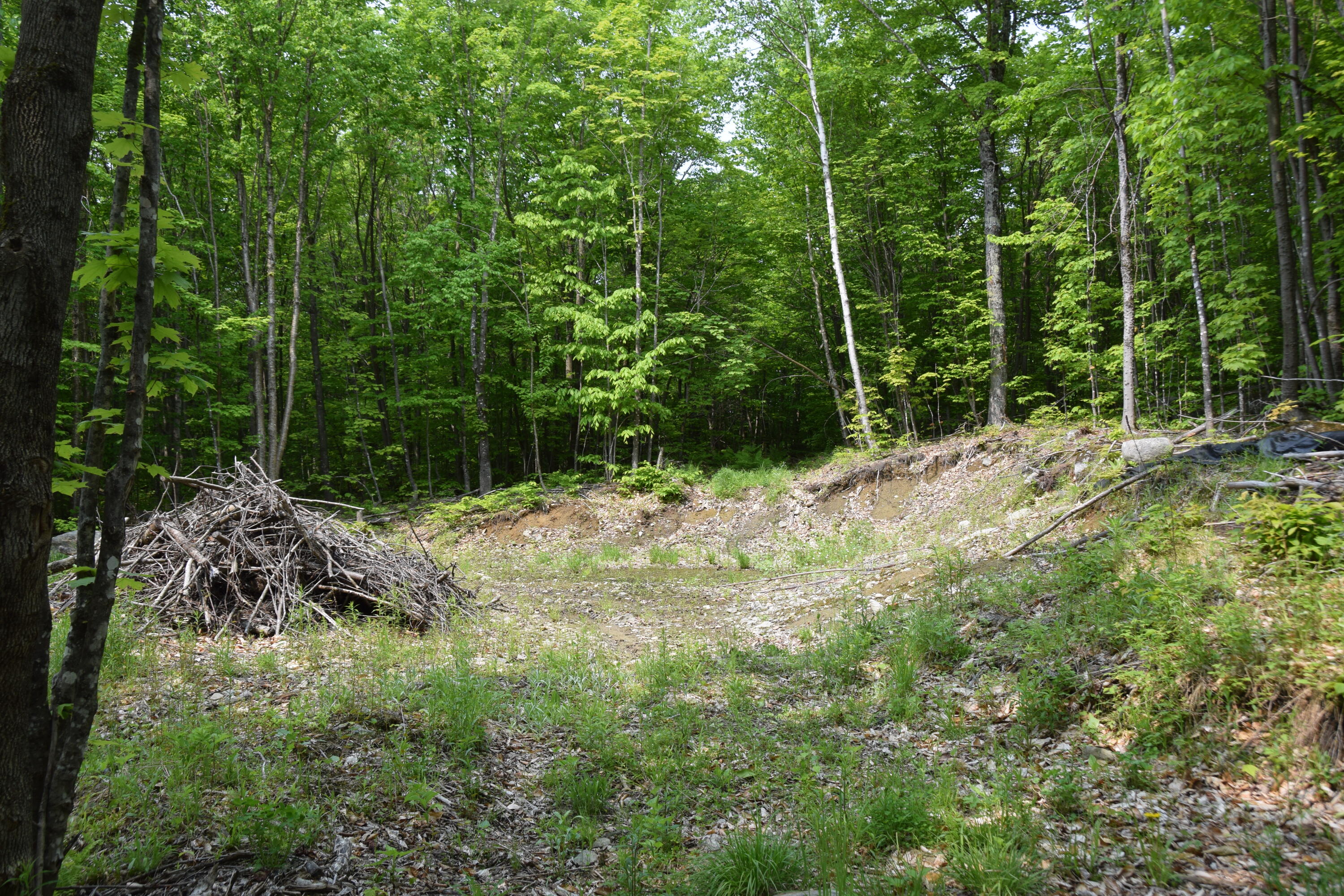 M12l1-14 Ira Mountain Road Property Photo 6