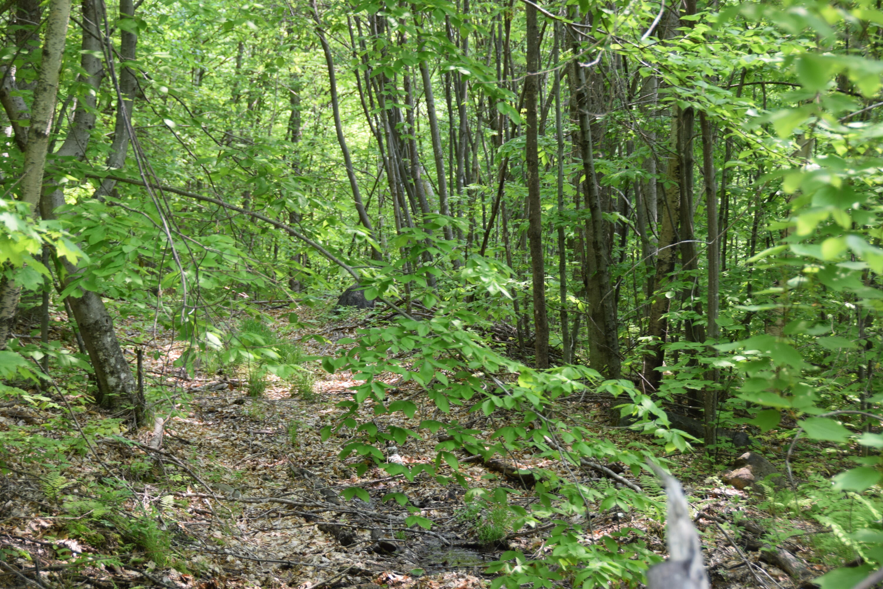 M12l1-14 Ira Mountain Road Property Photo 7