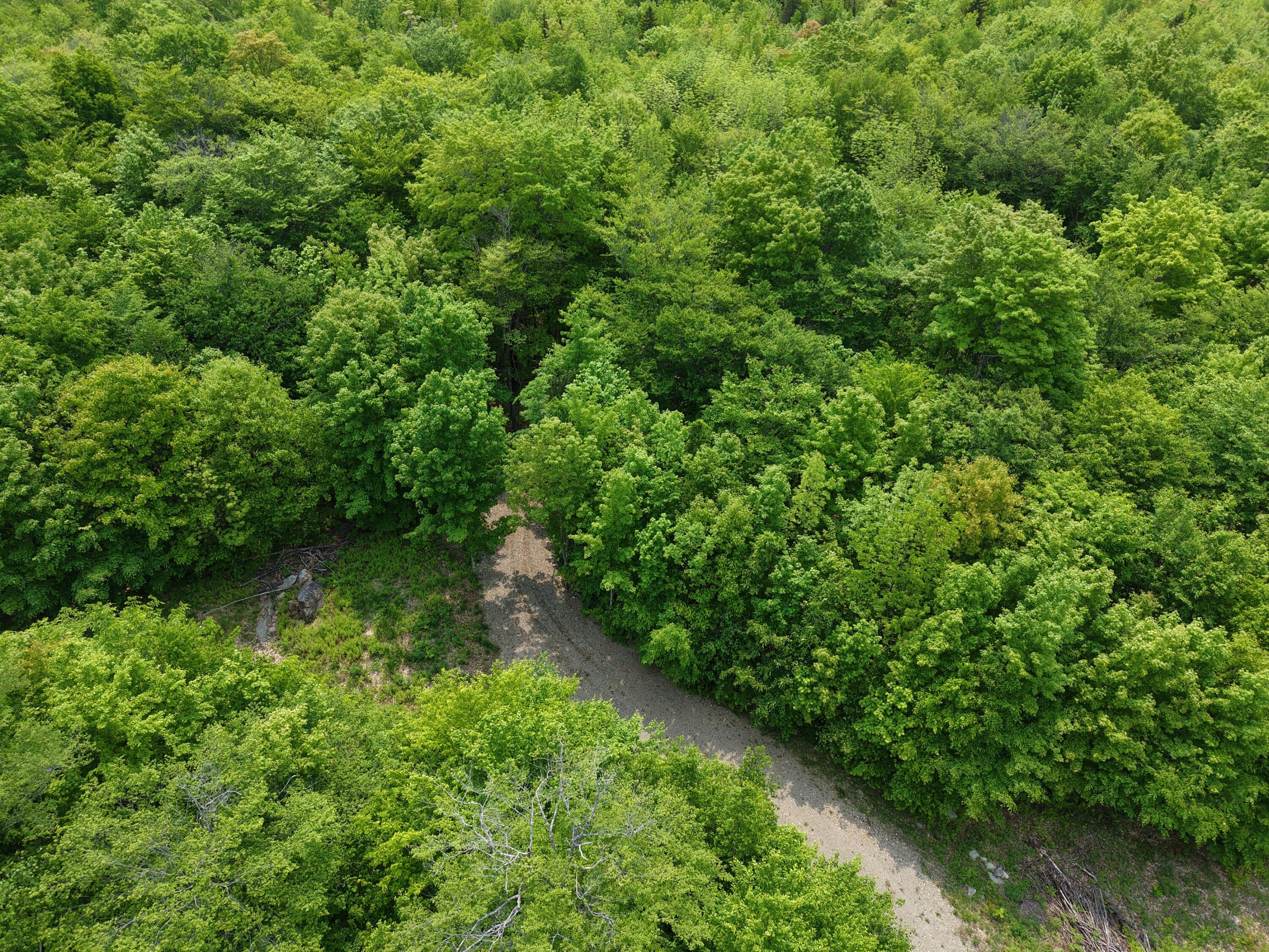 M12l1-14 Ira Mountain Road Property Photo 13