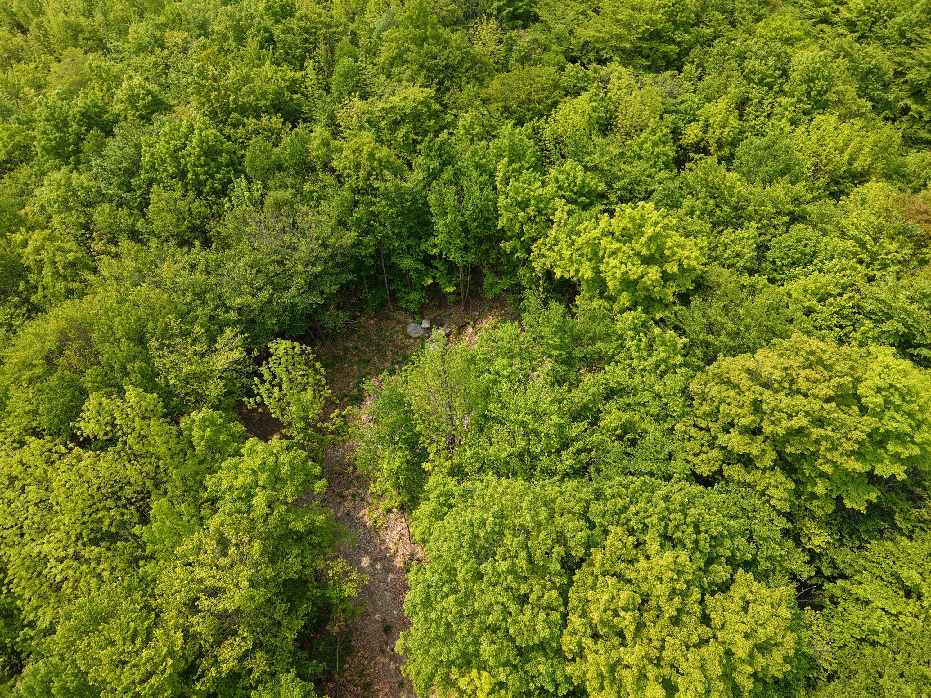 M12l1-14 Ira Mountain Road Property Photo 16