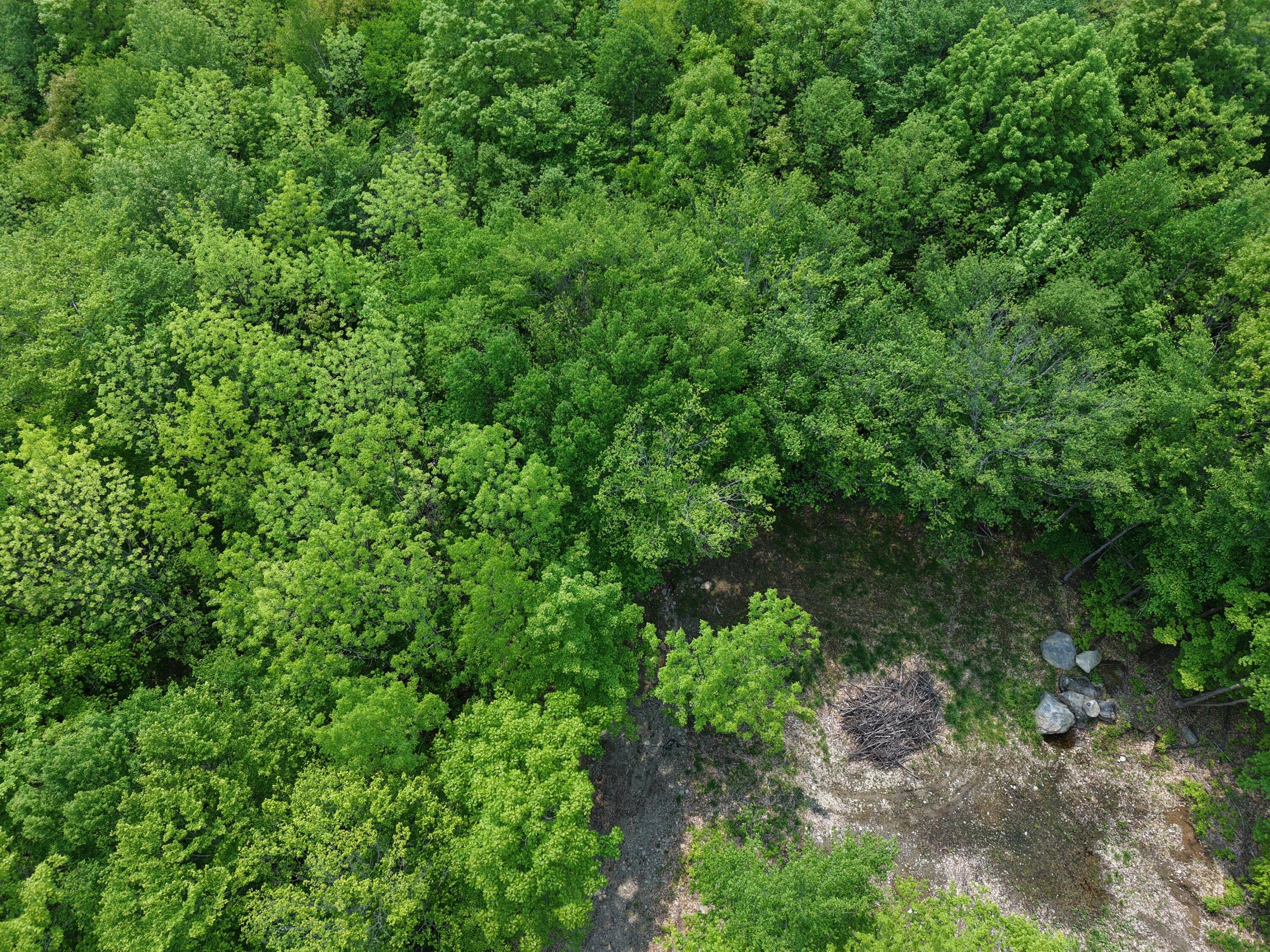 M12l1-14 Ira Mountain Road Property Photo 17