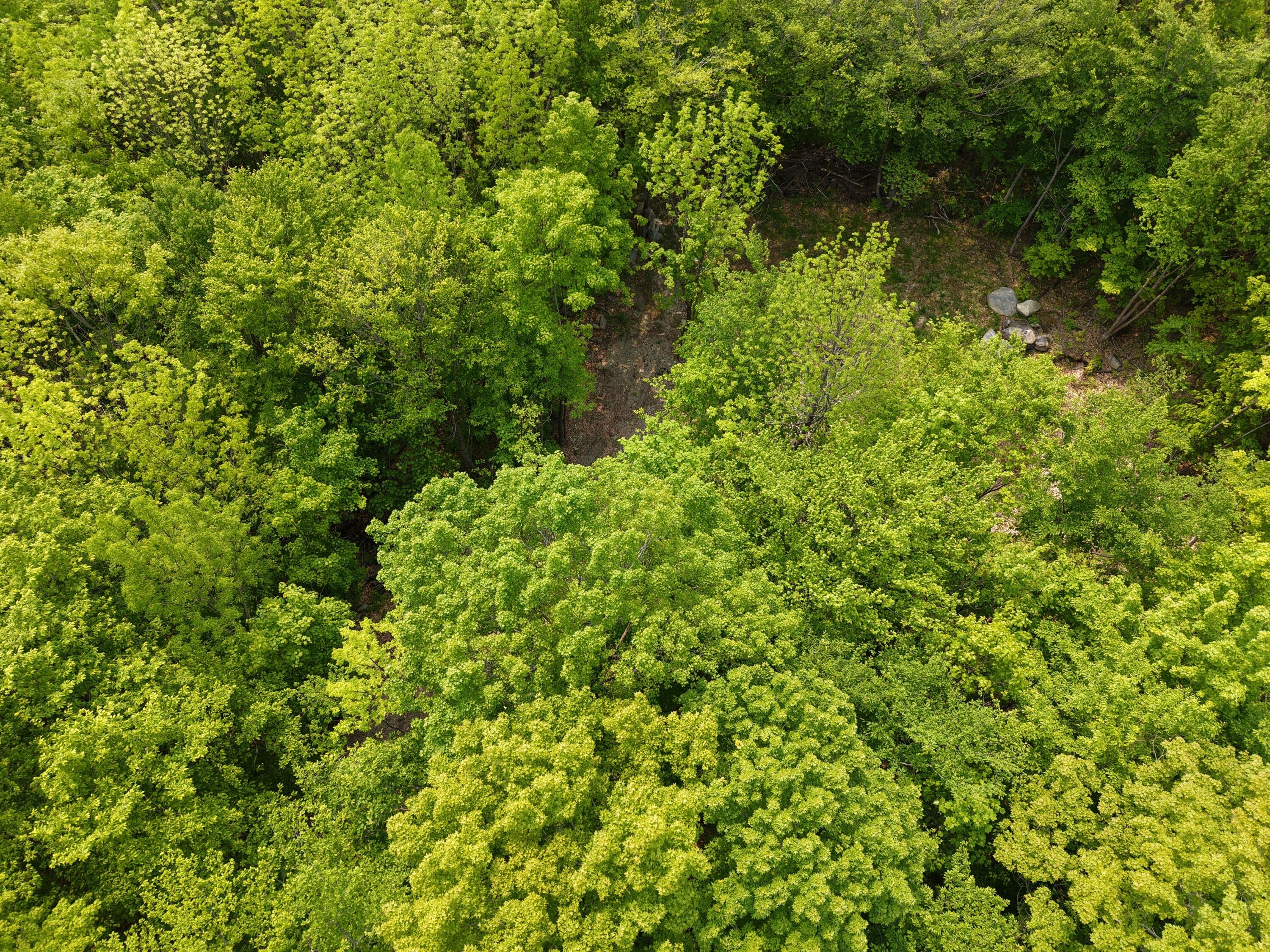 M12l1-14 Ira Mountain Road Property Photo 19