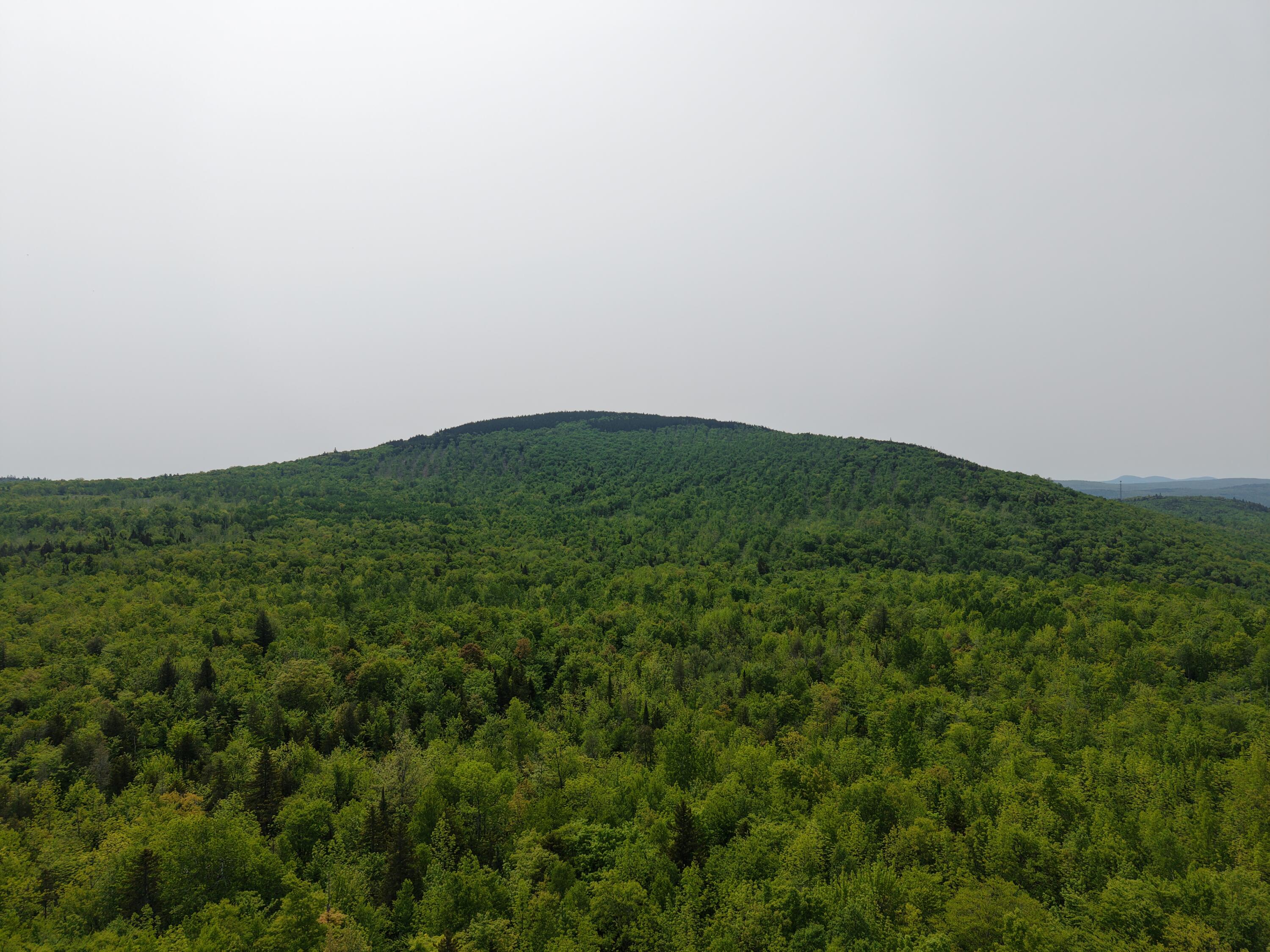 M12l1-14 Ira Mountain Road Property Photo 21