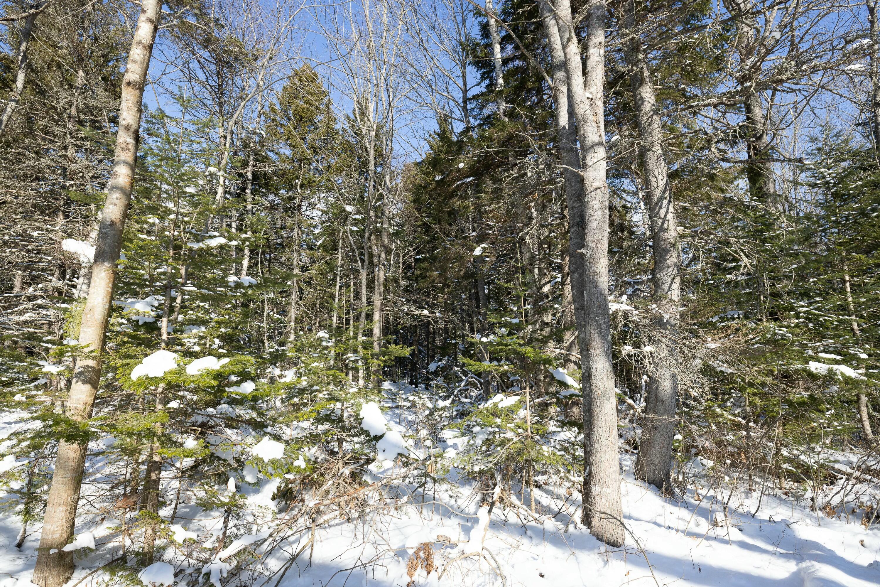145 Stanley Field Road Property Photo 4