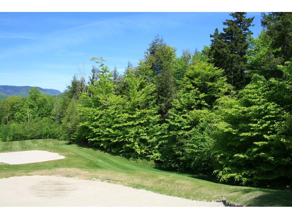 Lot 42 Fairway Drive Property Photo 3