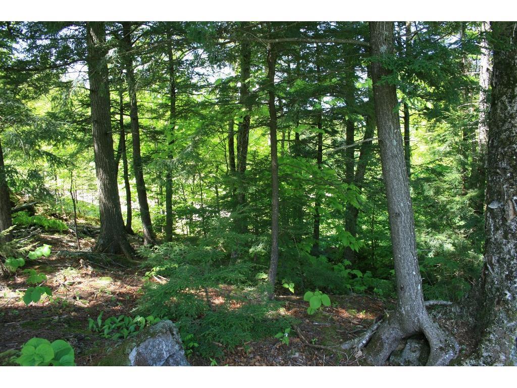 Lot 42 Fairway Drive Property Photo 7