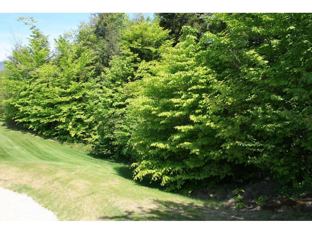 Lot 42 Fairway Drive Property Photo 15