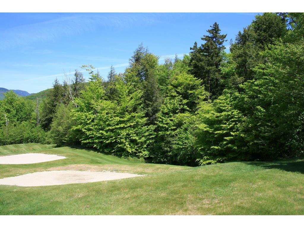 Lot 42 Fairway Drive Property Photo 16
