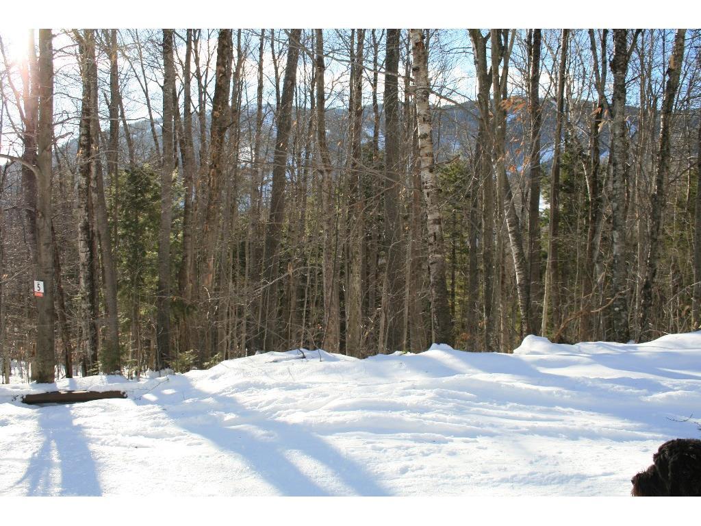 Lot 42 Fairway Drive Property Photo 30