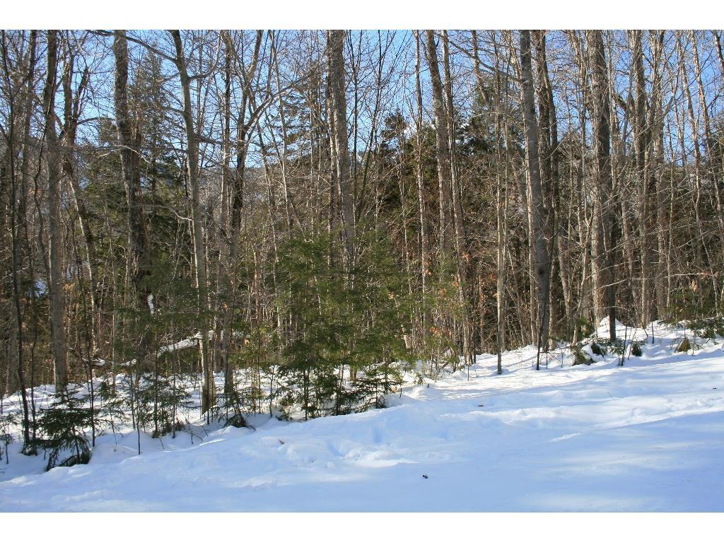 Lot 42 Fairway Drive Property Photo 31