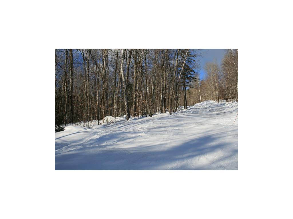 Lot 42 Fairway Drive Property Photo 32