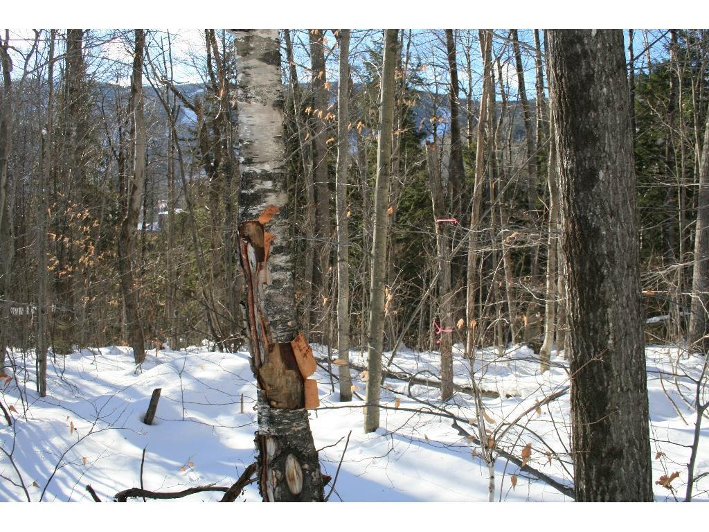Lot 42 Fairway Drive Property Photo 36