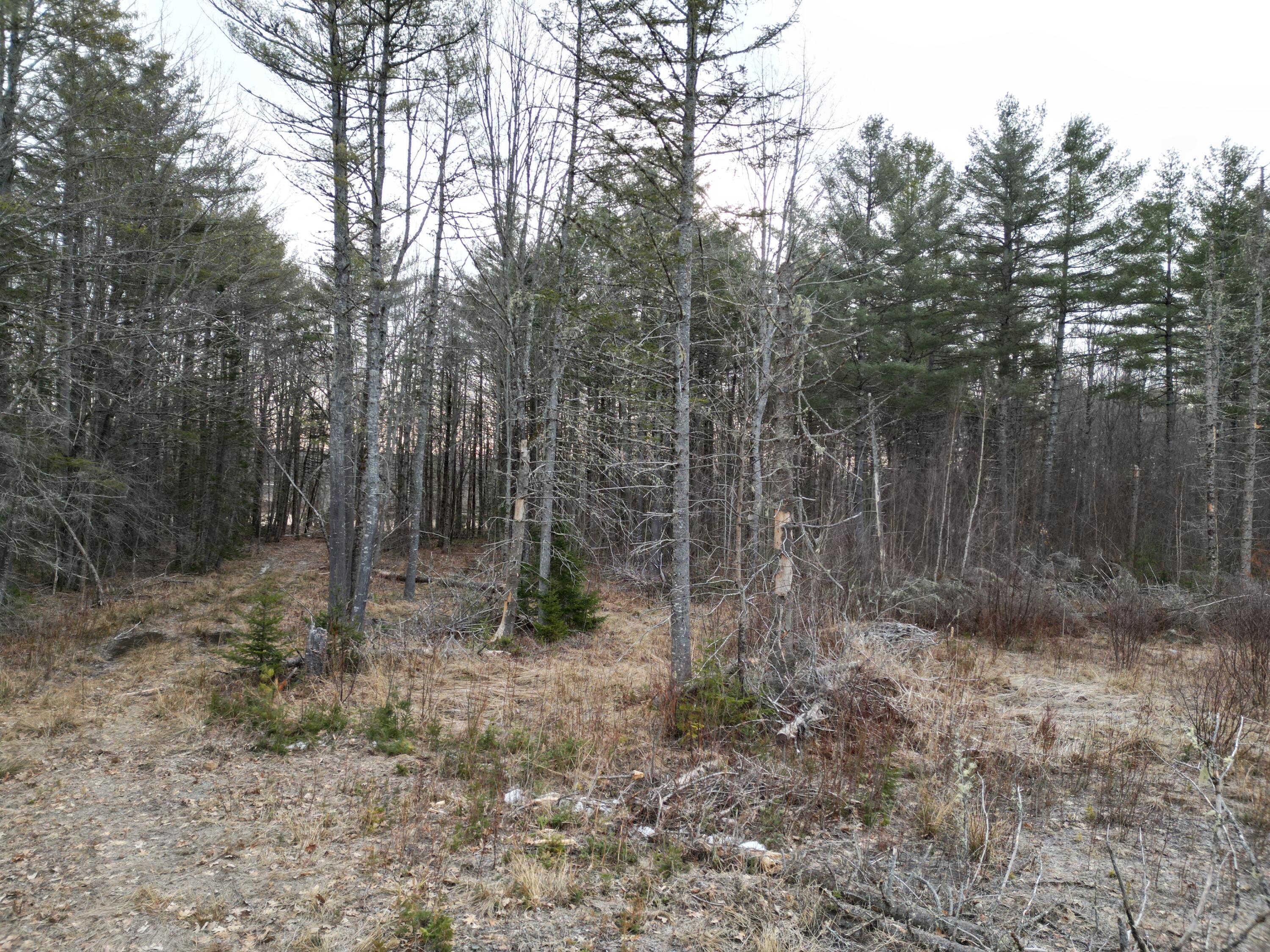 Lot 1 Anderson Road Property Photo 6