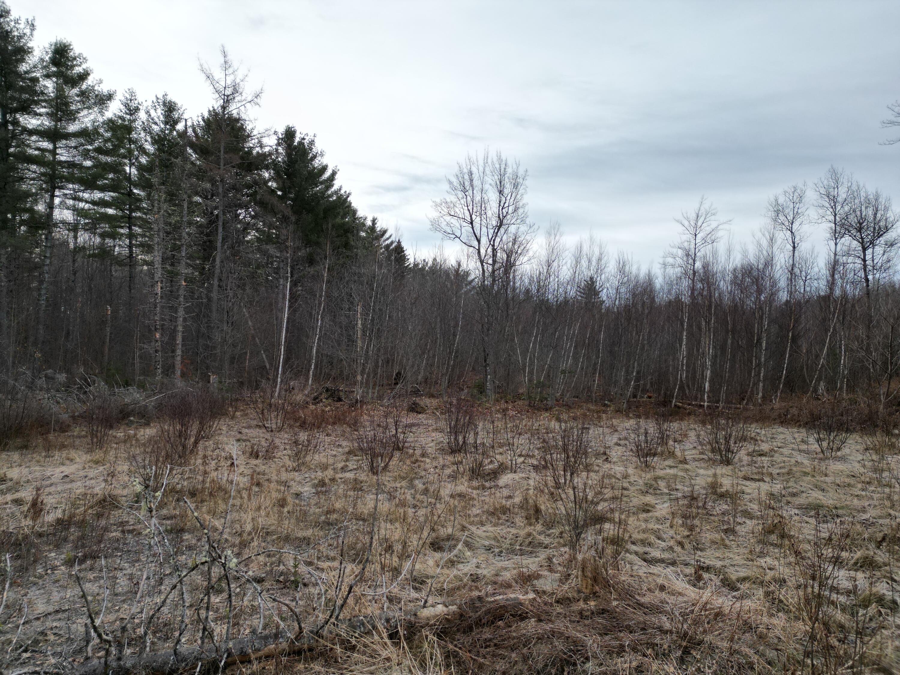 Lot 1 Anderson Road Property Photo 7