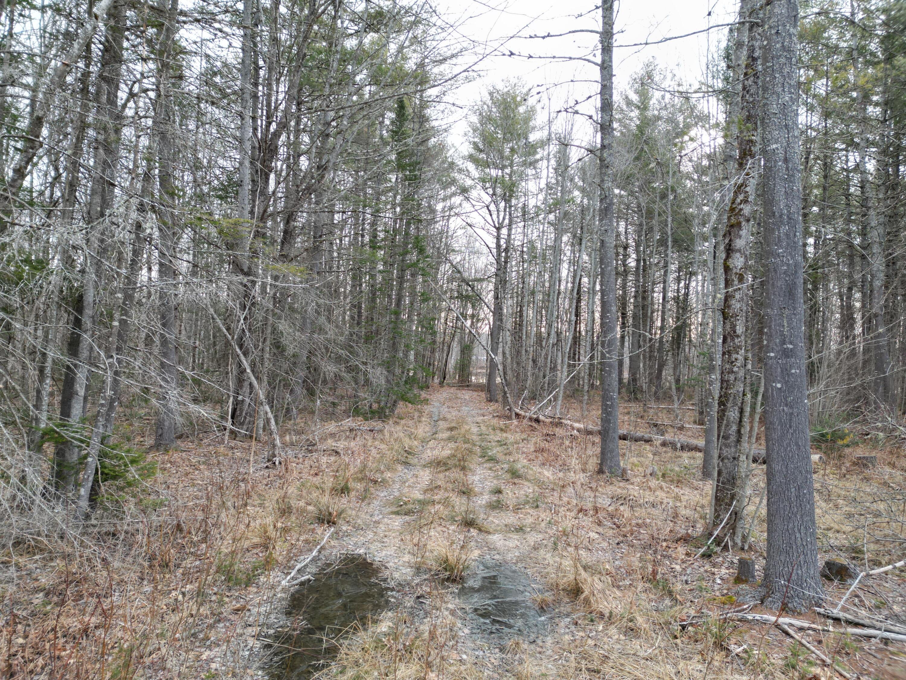 Lot 1 Anderson Road Property Photo 8