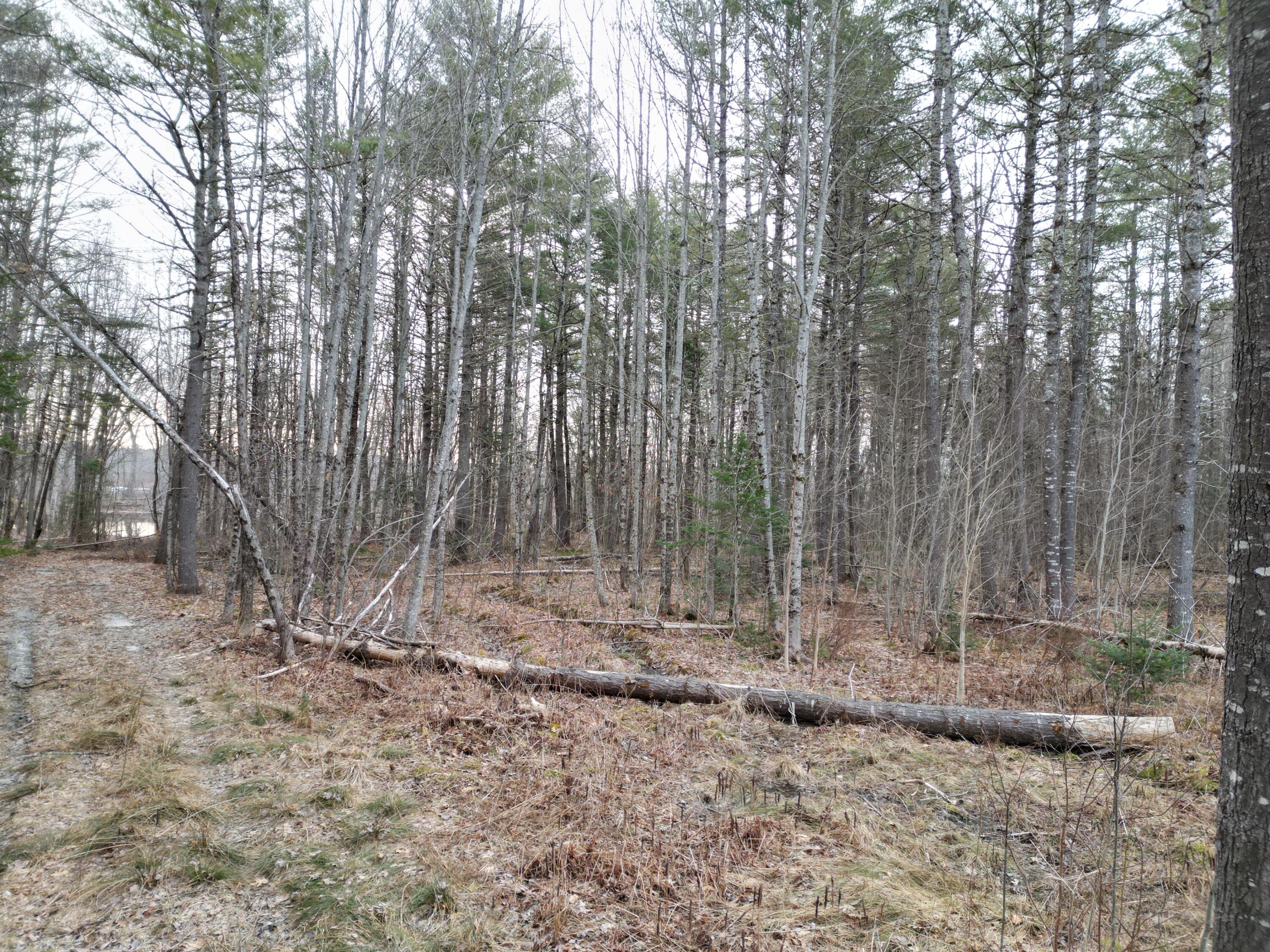 Lot 1 Anderson Road Property Photo 9