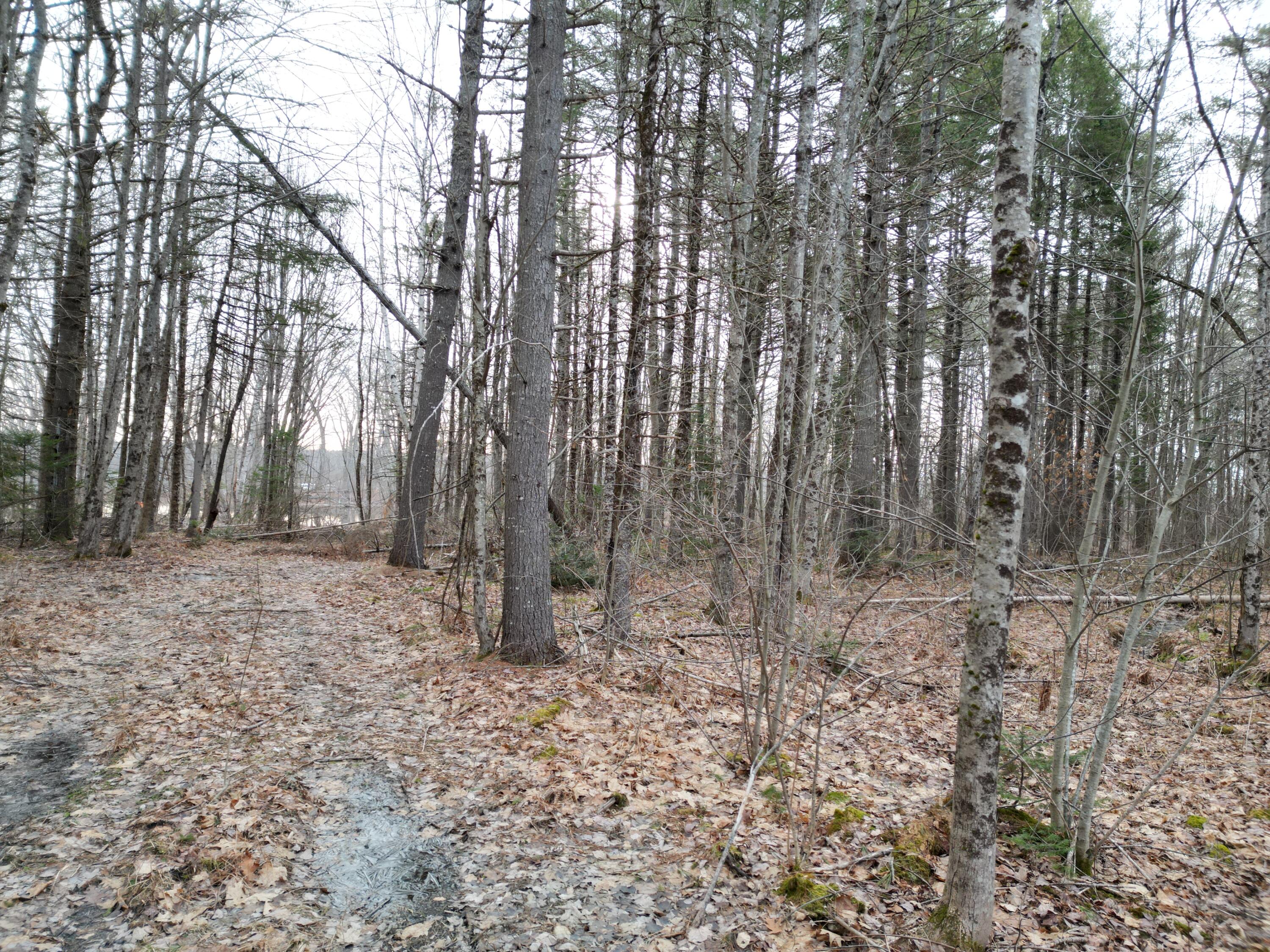 Lot 1 Anderson Road Property Photo 10