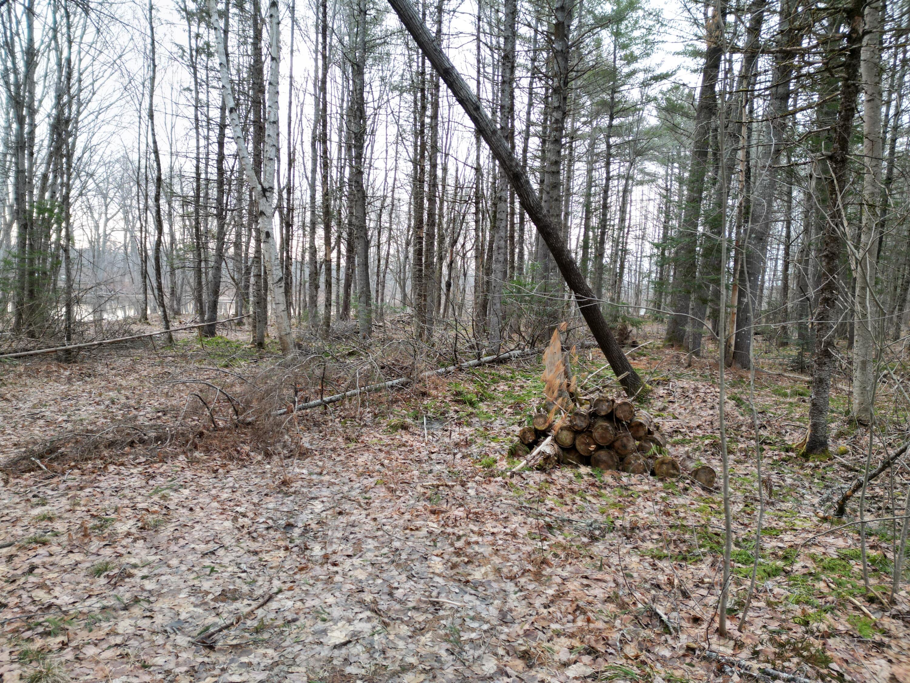 Lot 1 Anderson Road Property Photo 12