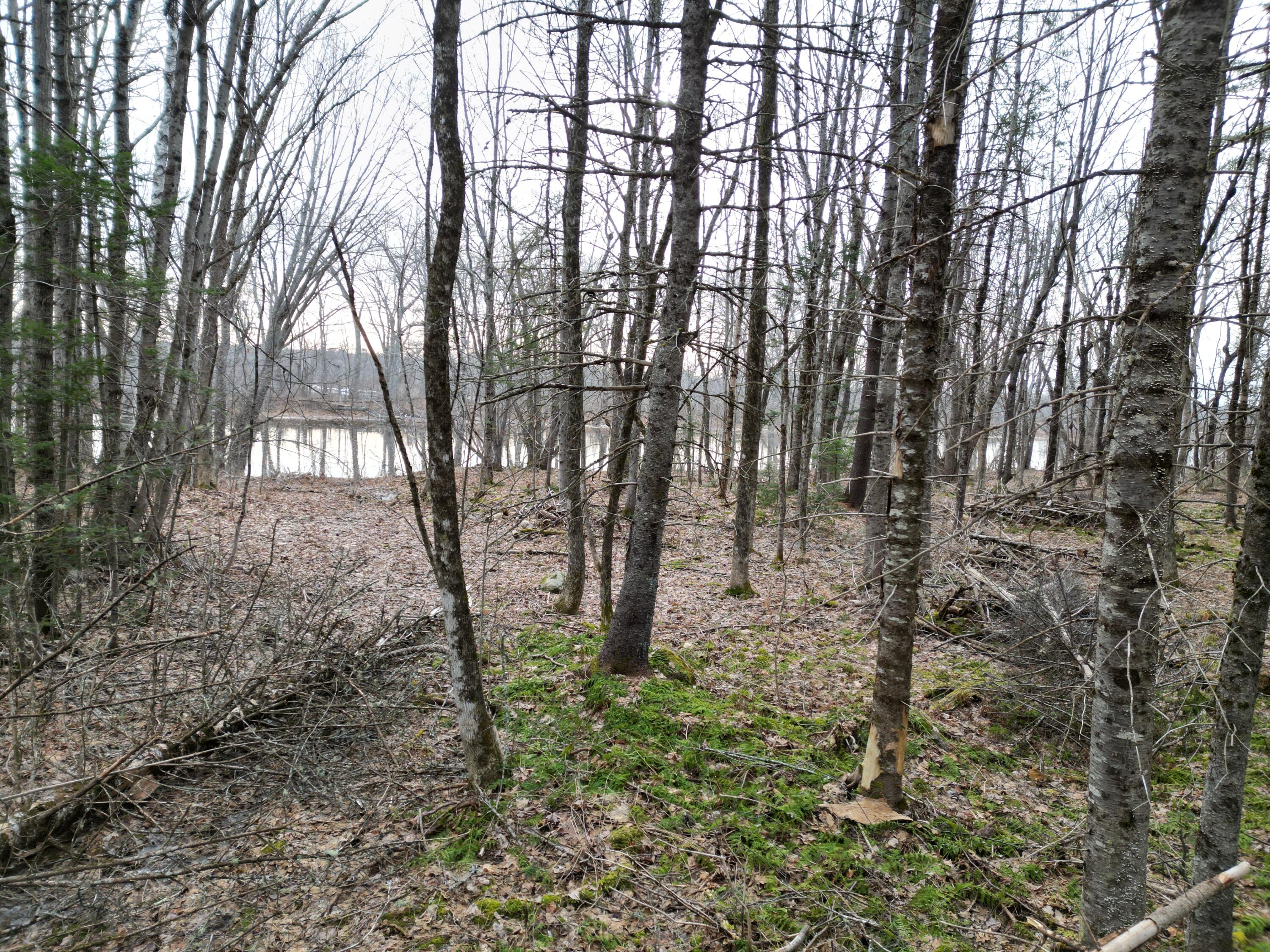 Lot 1 Anderson Road Property Photo 13