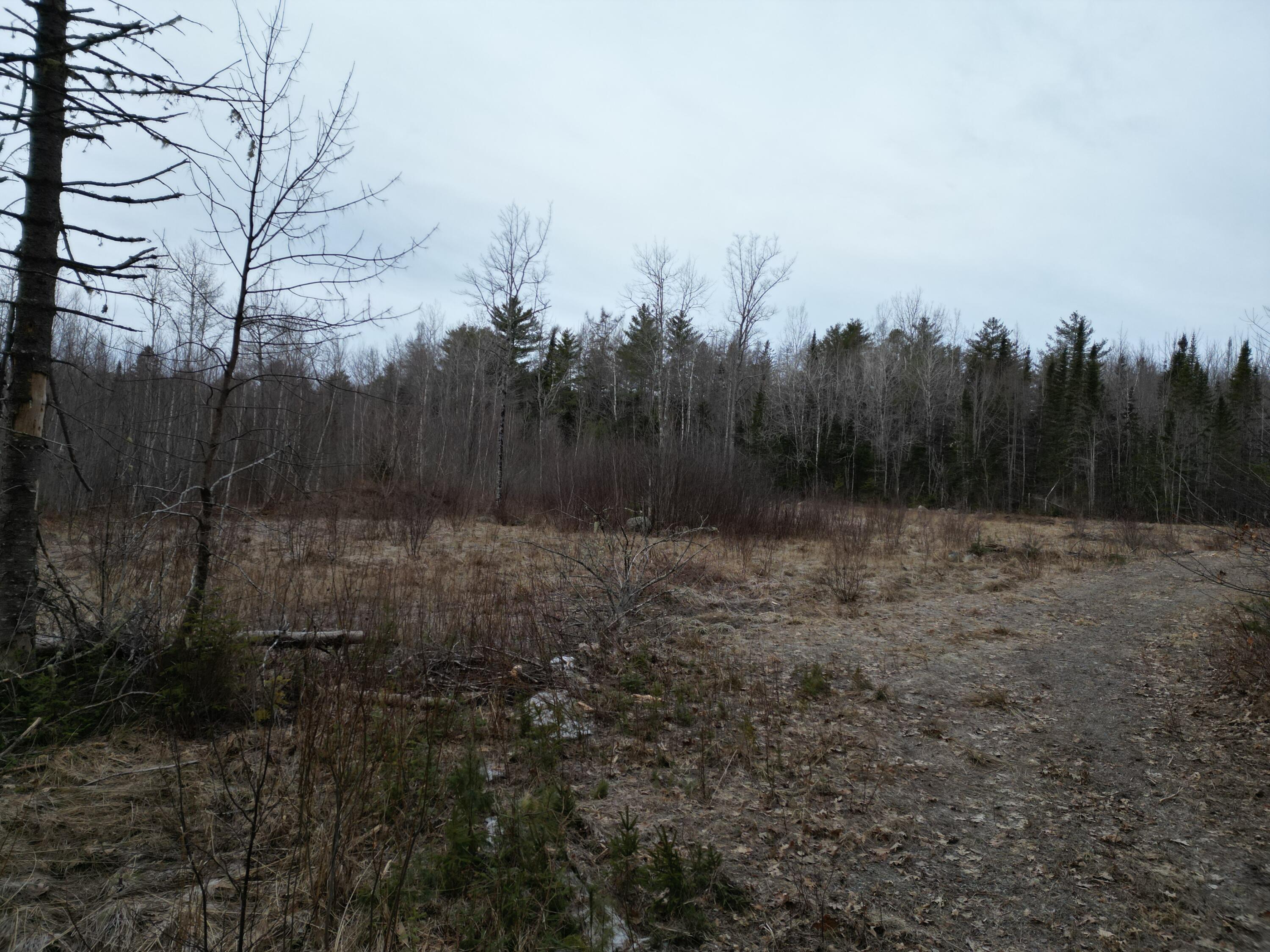 Lot 1 Anderson Road Property Photo 14