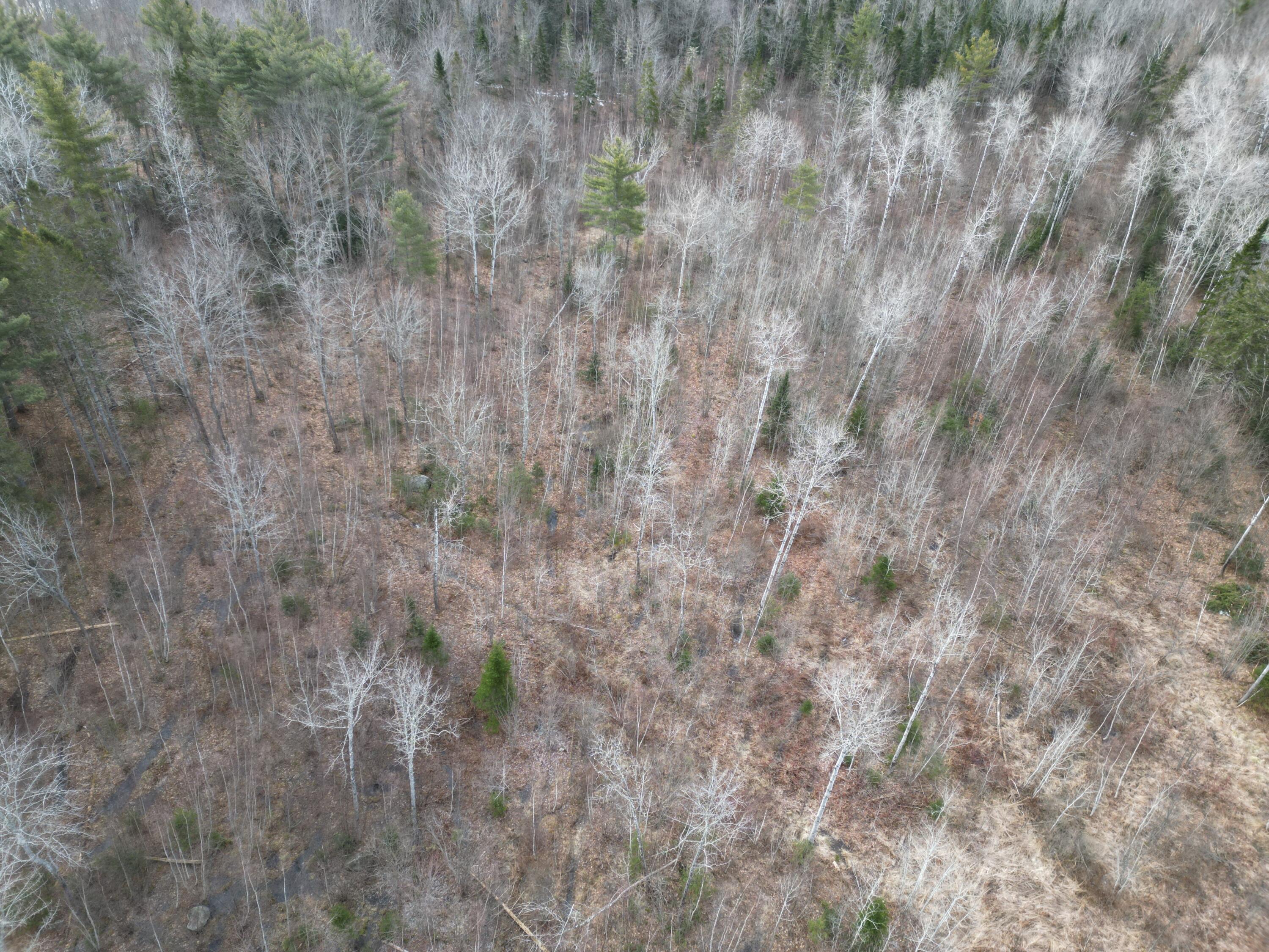 Lot 3 Anderson Road Property Photo 3