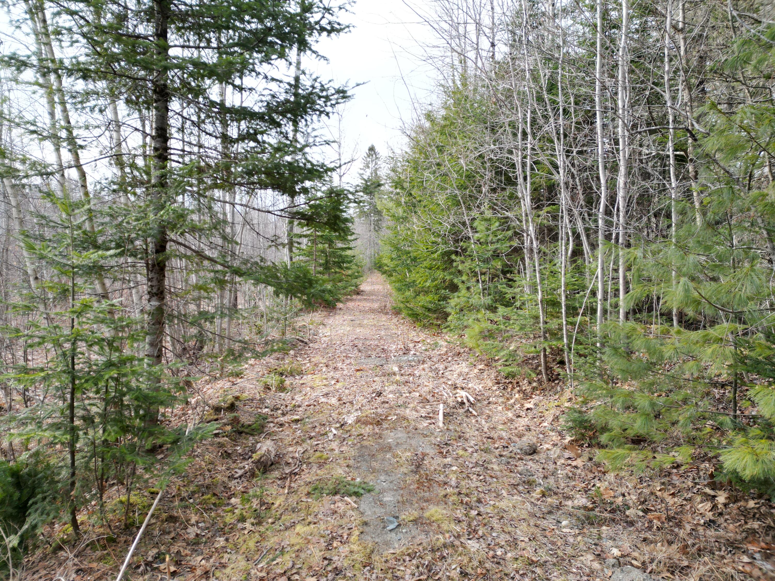 Lot 3 Anderson Road Property Photo 5