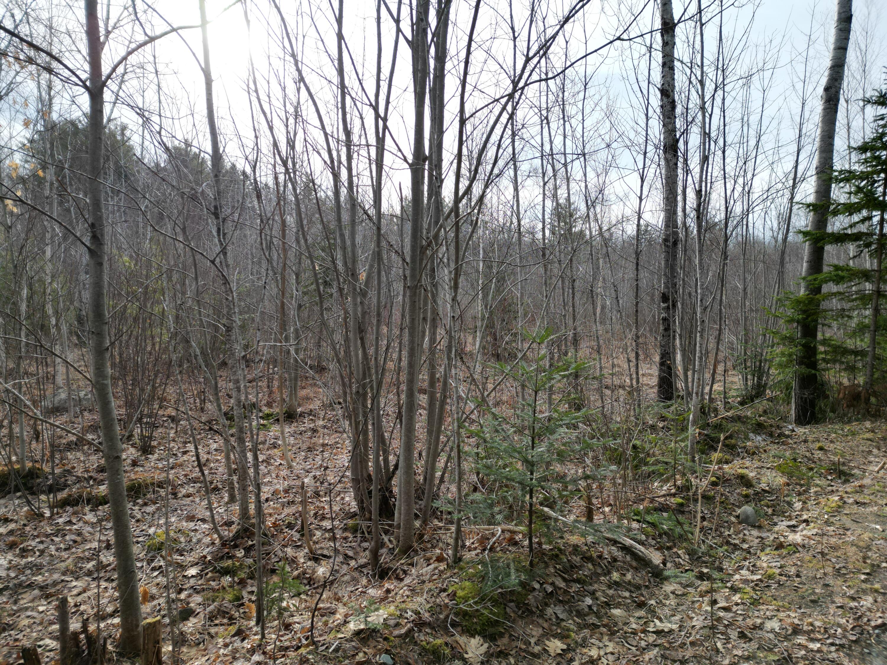 Lot 3 Anderson Road Property Photo 6