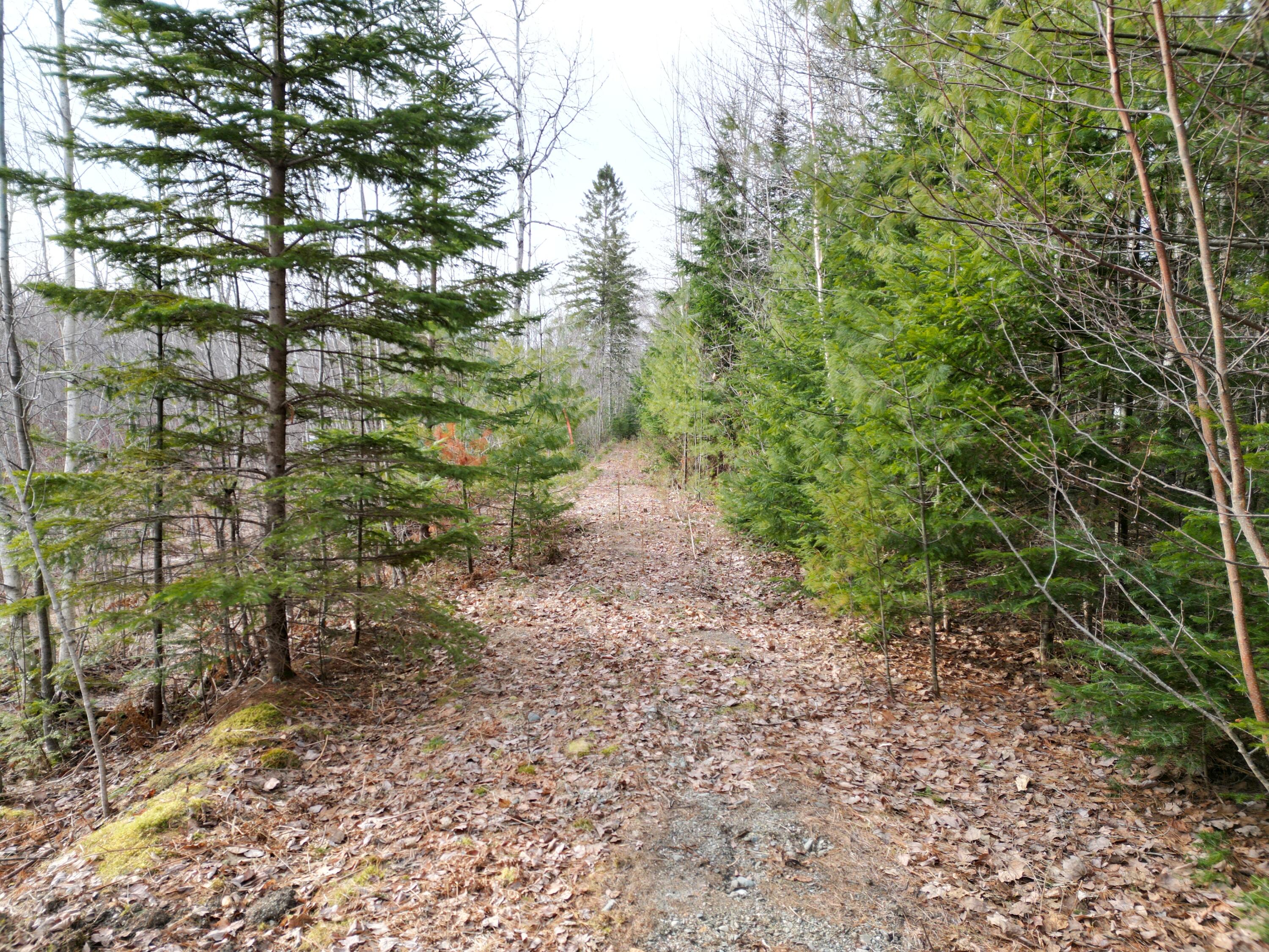 Lot 3 Anderson Road Property Photo 7
