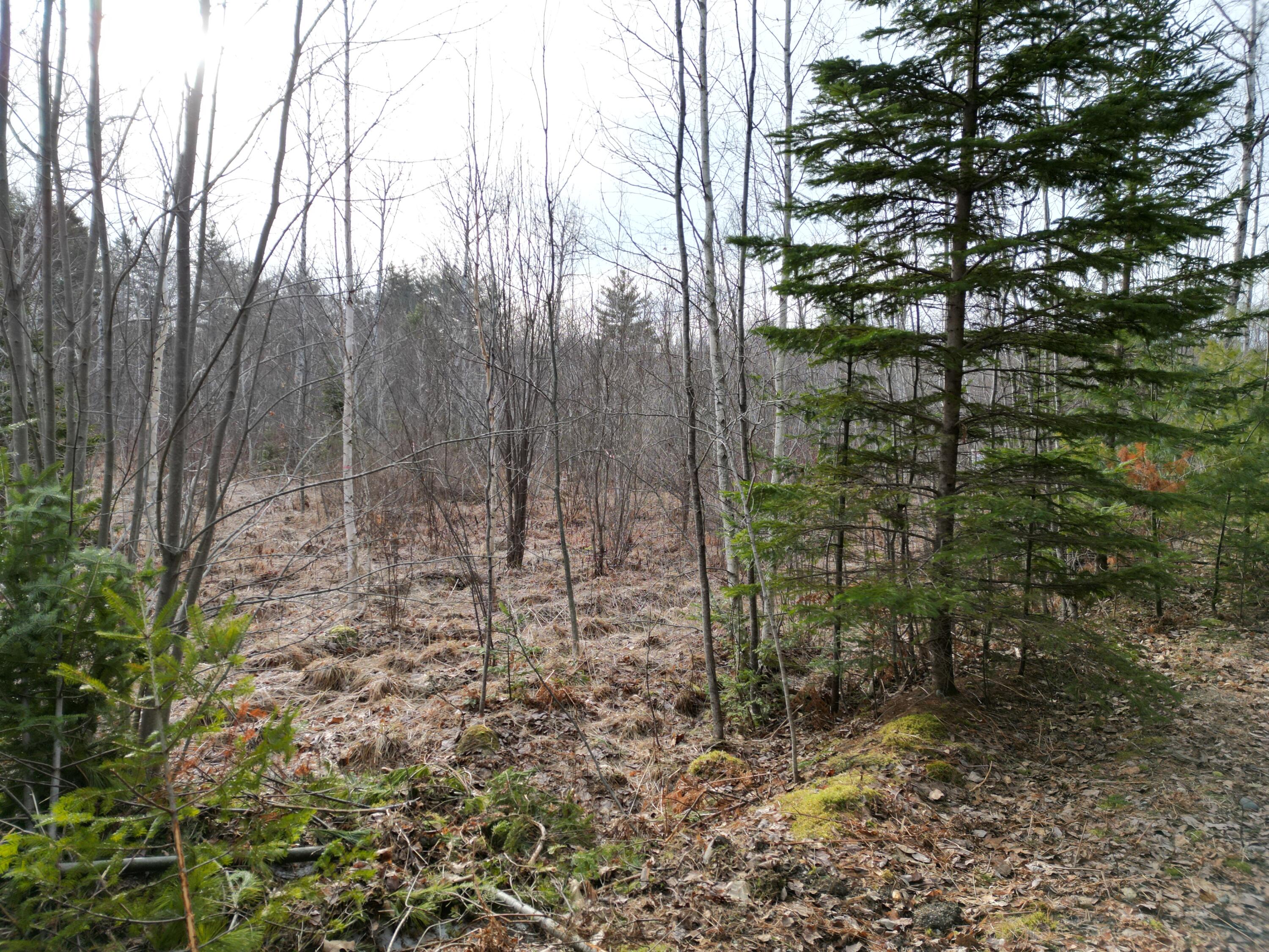 Lot 3 Anderson Road Property Photo 8
