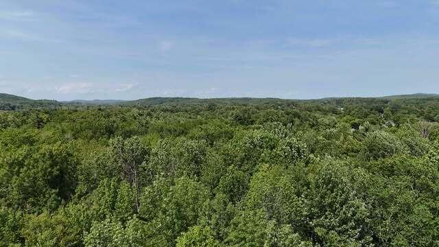 7 June Avenue Property Photo 9