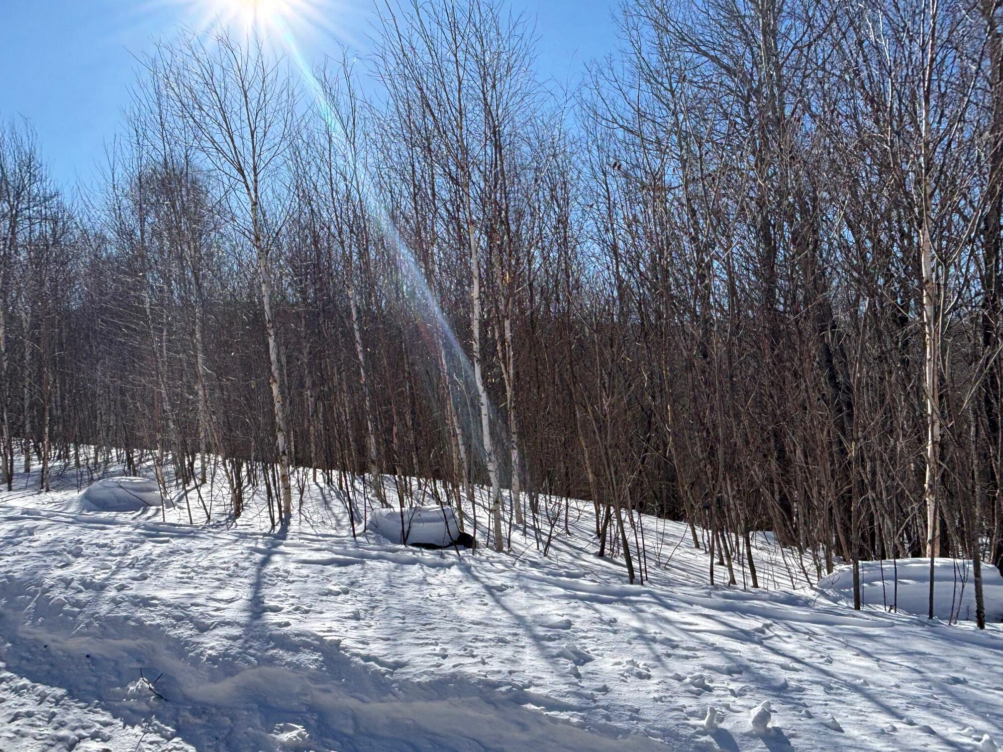 Lot 23.1 Glades View Avenue Property Photo 4