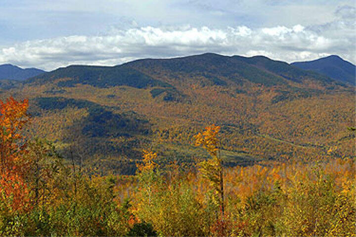 Lot 23.1 Glades View Avenue Property Photo 10