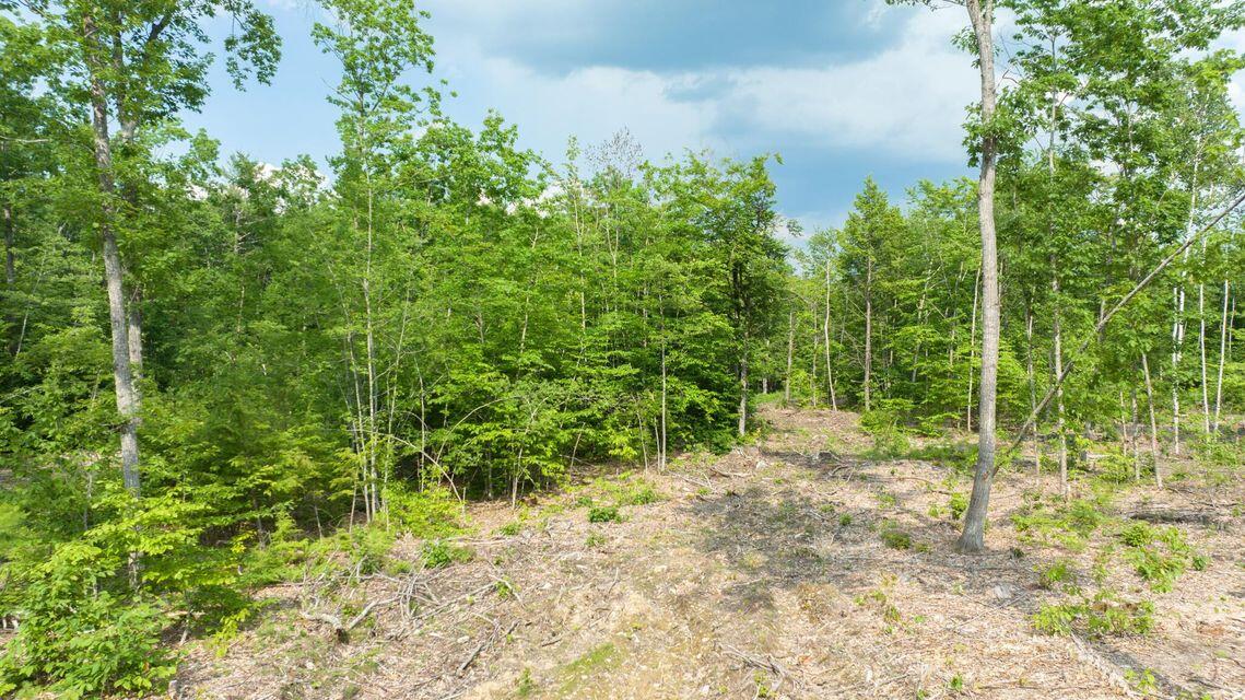 0031 Leach Hill Road Road Property Photo 10