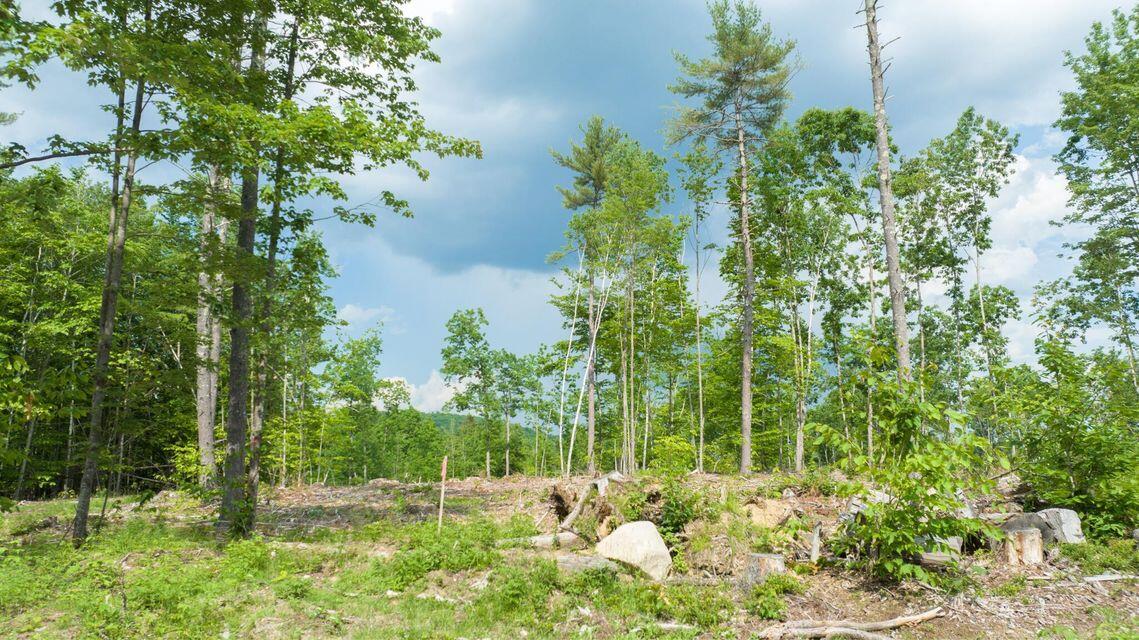 0031 Leach Hill Road Road Property Photo 11