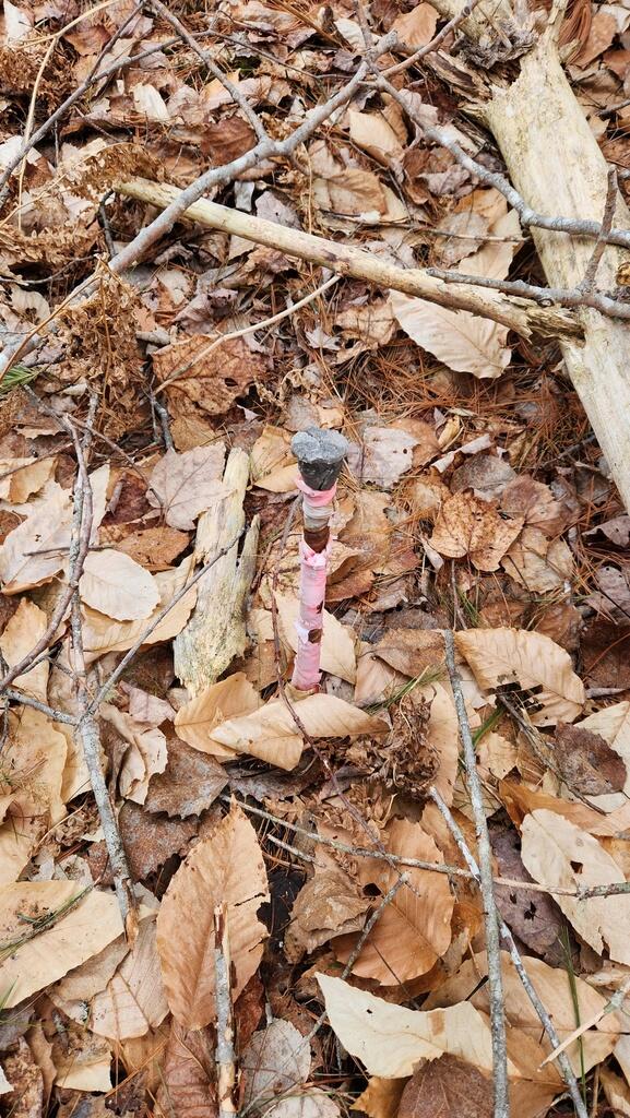 Lot 007 Old County Road Property Photo 4