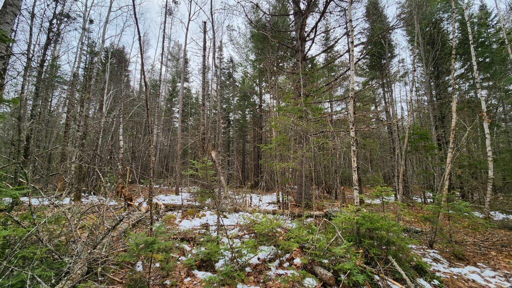 Lot 007 Old County Road Property Photo 8