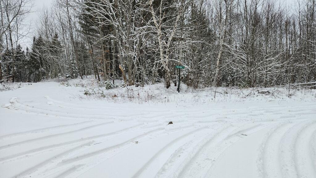 Lot 007 Old County Road Property Photo 13
