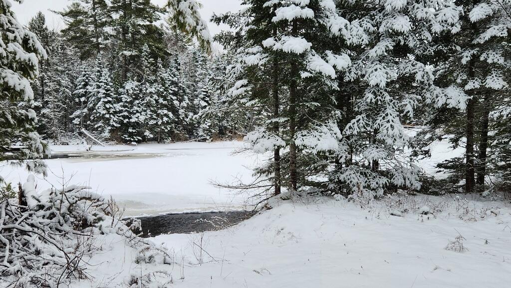 Lot 007 Old County Road Property Photo 16